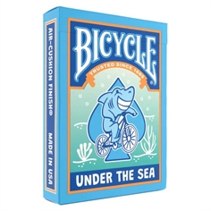 Bicycle Under the Sea